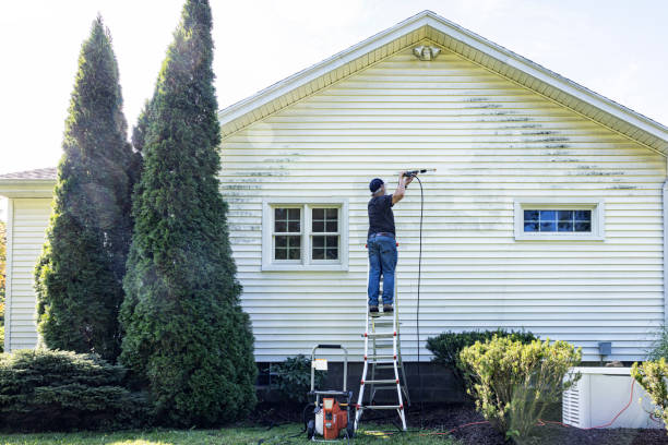 Best Fence Cleaning and Maintenance in Green Island, NY